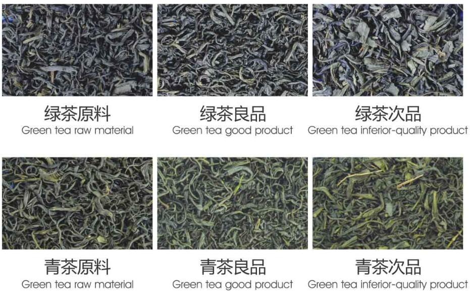 Metak_green_tea_sorting