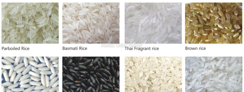 rice_color_sorter_machine_rcsc_-_metak-4