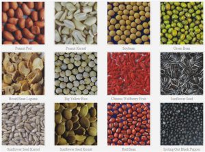 color sorter_5