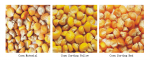 corn color sorter