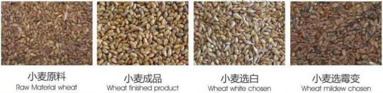 wheat_color_sorter