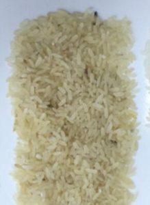 Rice_Rejected_Material