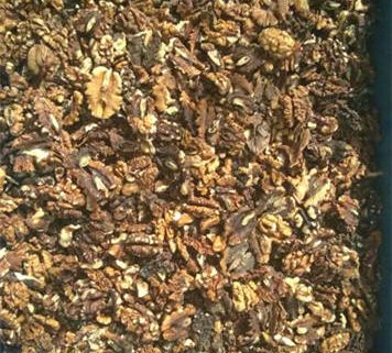 Walnut_Kernel_color_sorting_machine_raw-material