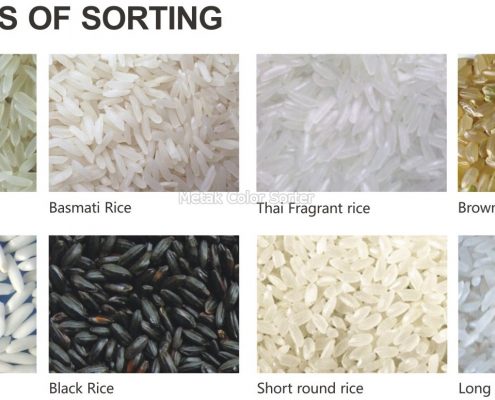 rice_color_sorter_machine_rcsc_-_metak-4