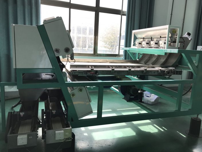 Plastic_Sorting_Machine_for_Recycling_PET_Bottle_Flakes_03